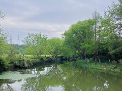 -八卦田遗址公园