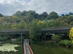 -福道
