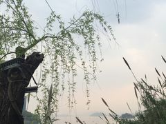 -全乐鱼馆·淳牌有机鱼直营店
