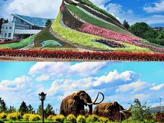 -昆明动物园