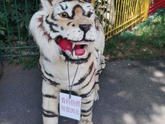 -昆明动物园