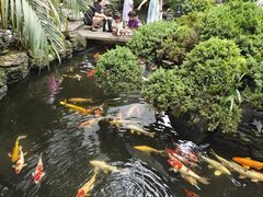 -聚福宝合苑食府(南头镇店)