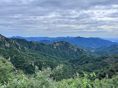 -大岭沟猕猴桃谷风景区