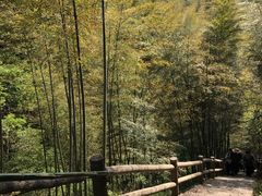 -藏龙百瀑风景区