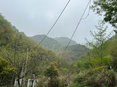 -莫干山风景区