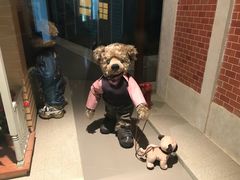 -济州岛泰迪熊博物馆