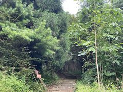 -武陵山森林公园