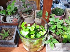 -铃木食堂(帽儿胡同店)