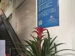 -瑞慈体检上海闵行机构