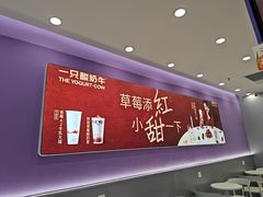 -一只酸奶牛(双流万达广场店)