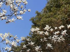 -共青国家森林公园-售票处