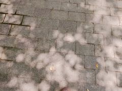 -尚贤河湿地