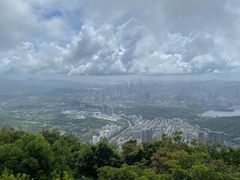 -梧桐山风景名胜区