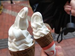 -富豪雪糕车流动点(尖沙咀店)
