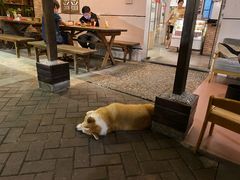 大堂-茶米人台湾料理·精致快简餐