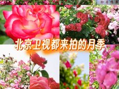 -太阳宫公园