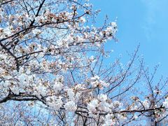 -西北湖绿化广场