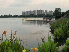-桐乡凤凰湖