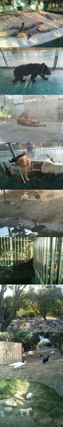 -泉州海丝野生动物世界