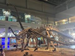 -自贡恐龙博物馆