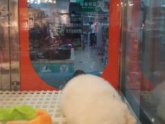 狗-乐宠宠物店(世纪金源店)