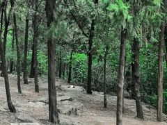-云龙山