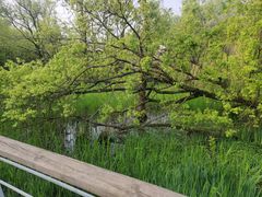 -西湖风景区-江洋畈生态公园