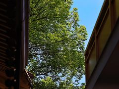 -香积寺