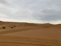 -穆豪麦蒸碗羊羔肉