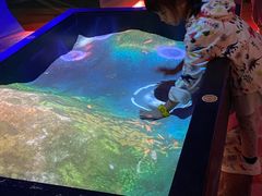 -珠海横琴国家地理探险家中心(创新方)