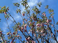 -观澜湖生态运动公社