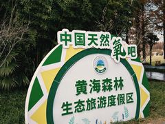 -黄海国家森林公园