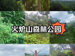 -火炉山森林公园