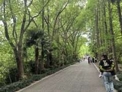 -同里国家湿地公园