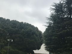 -宋庆龄陵园