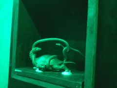 -MOJO密室逃脱(中街旗舰店)