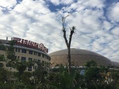 -灵玲国际马戏城