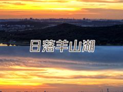 -羊山湖公园