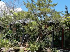-罗浮山·罗园农庄