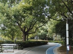 -苏州河梦清园环保主题公园