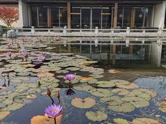 -西湖国宾馆·紫薇厅