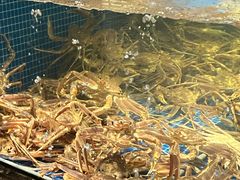-东海怡品海鲜豆捞(星街坊店)
