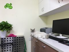 -瑞派宠物医院·24h·骨外科·皮肤科·全科宠物医疗转诊中心(沈阳浑南院)