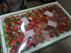 -西郊国际农产品交易中心