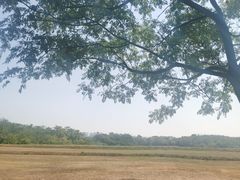 -盘龙城国家考古遗址公园