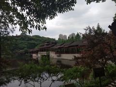 -重庆彩云湖湿地公园