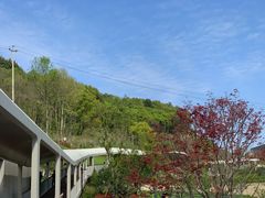 -东钱湖小普陀景区