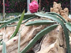 -南通洲际绿博园