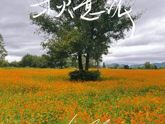 -良渚古城遗址公园