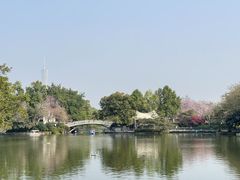 -东山湖公园